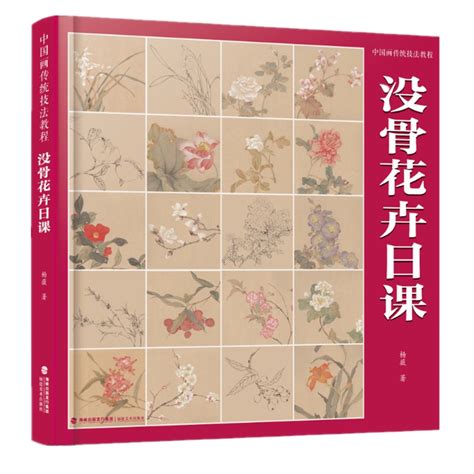 【繪畫藝術】現貨 中國畫古早技法教程·沒骨花卉日課 Chinese Books 蝦皮購物