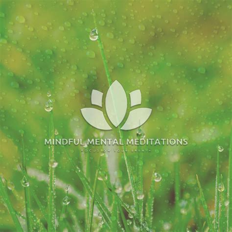 Cicadas Rain Dance Loopable Rain Single By Mindful Mental