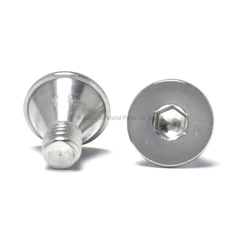 Stainless Steel Hex Socket Csk Head Wafer Bugle Head Machine Screw