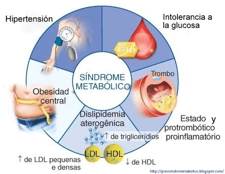 Hiit Frente A Entrenamiento Continuo En S Ndrome Metab Lico