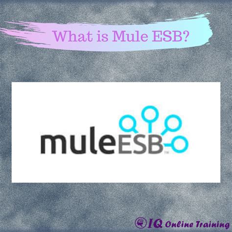 Mule ESB Tutorial | Why Mule ESB | What are the Capabilities and ...