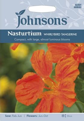 Nasturtium Seeds Whirlybird Tangerine By Johnsons Kazco Co Uk