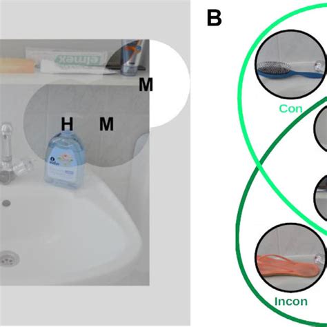 Stimulus Generation For Experiment 2 A B In The Second Experiment Download Scientific