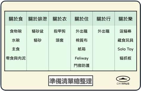 幼貓怎麼養？從4週齡到1歲都適用的照顧指南 貓生catraws