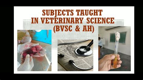 Veterinary Course Subjects BVSC AH Neet Vet Veterinary