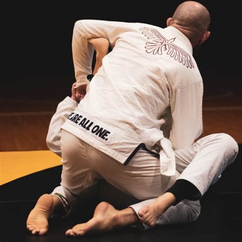 Brazilian Jiu Jitsu Techniques - beginner BJJ