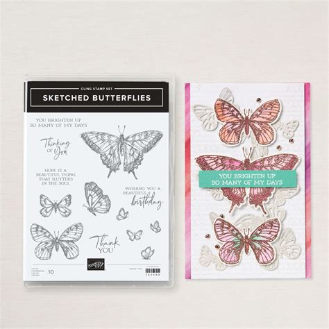 Sketched Butterflies Stamp Set By Stampin Up