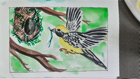 How To Draw Baya Weaver Bird Building A Nest Simple Watercolor