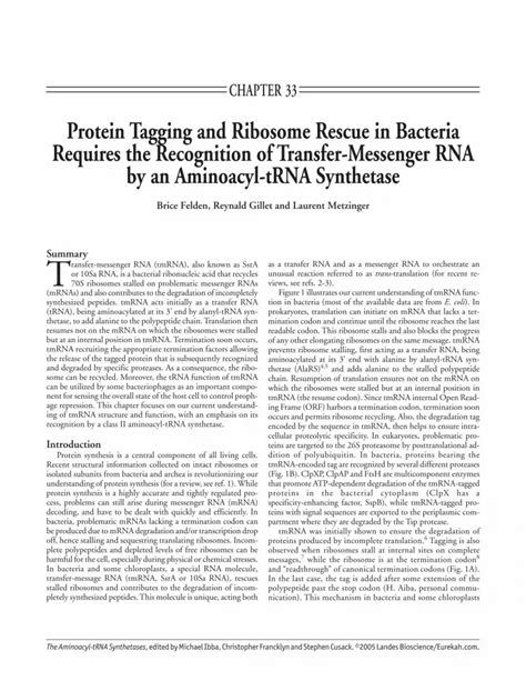 Protein Tagging And Ribosome Rescue In Bacteria Requires The