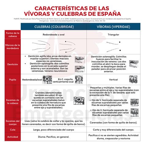 Mordedura de serpientes venenosas en España