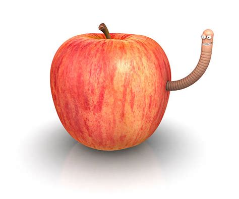 Best Apple Worm Stock Photos, Pictures & Royalty-Free Images - iStock