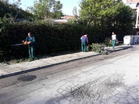 OREZIVANJE ŽIVE OGRADE U IGALU Komunalno Stambeno Herceg Novi