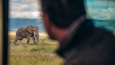 Ngorongoro Krater in Tansania Safaris Reiseführer