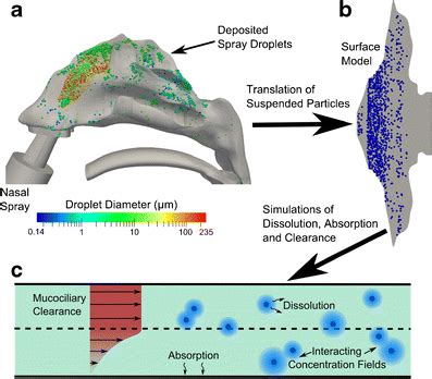 The Overall Methodology For Conducting The Cfd Simulations Is Shown