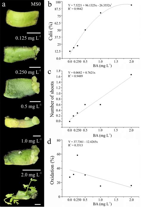 In Vitro Shoot Organogenesis From Cotyledonary Explants Of Delonix