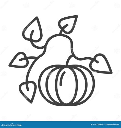 Icon Of Pumpkin On The Vine With Leaves Minimalistic Linear Image