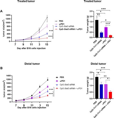 B16 Mouse Melanoma Cell Lines ATCC Bioz