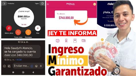 Ingreso M Nimo Garantizado Arrancan Los Pagos En Enero Por Movii