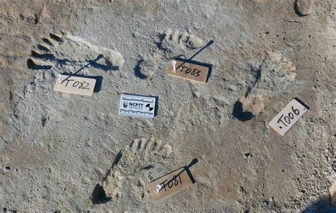 Footprints In New Mexico Are Oldest Evidence Of Humans In The Americas Bbc News