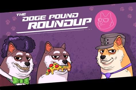 The Doge Pound Roundup: Seedify Airdrop, 3D Mascot and More | by The Doge Pound | The Doge Pound