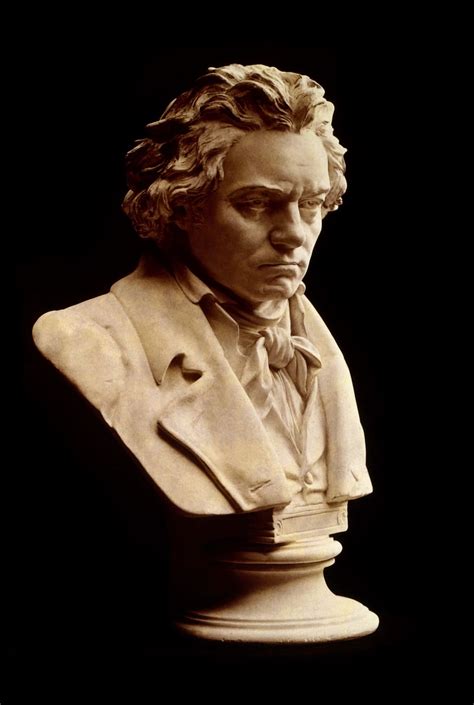 Beethoven Wallpapers Top Free Beethoven Backgrounds Wallpaperaccess