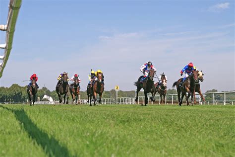 競馬の3連複フォーメーションとは？計算方法とおすすめの買い方を解説 おすすめ競馬予想サイト17選！みんなの競馬検証