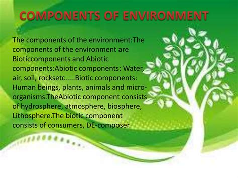 Environment Meaning And Its Components Ppt