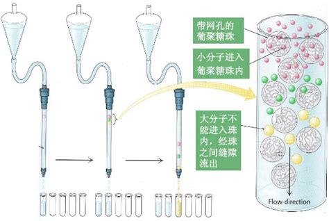 如何实现高效、精准的生物制品分离纯化？ 广州研创生物