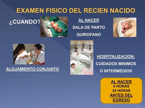 A TEMA 2 EXAMEN FISICO DEL RECIEN NACIDO Pptx