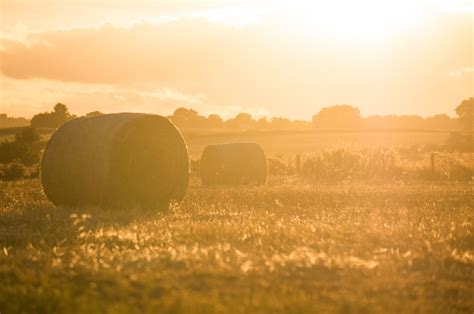 Free Images Landscape Nature Horizon Cloud Sky Sun Sunrise