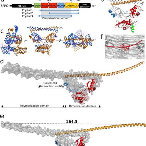 A Novel Conserved Coiled Coil Interaction Motif Amongst DBHS Proteins