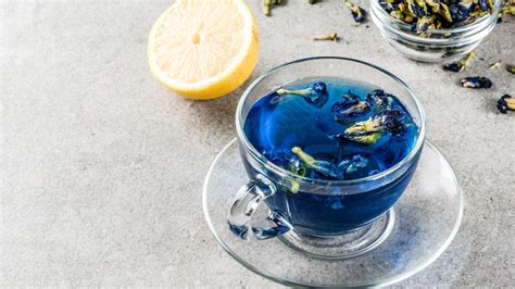 Blue Tea Benefits: Antioxidants, Diabetes, Cancer, Ageing and Anxiety ...