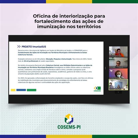 Coordenação e Apoio do Cosems PI participam de oficina sobre ImuzinaSUS