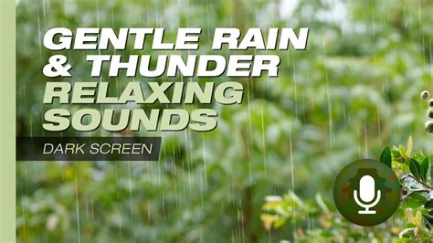 Hrs Serene Sounds Of Gentle Rain Calming Thunder For Relaxation