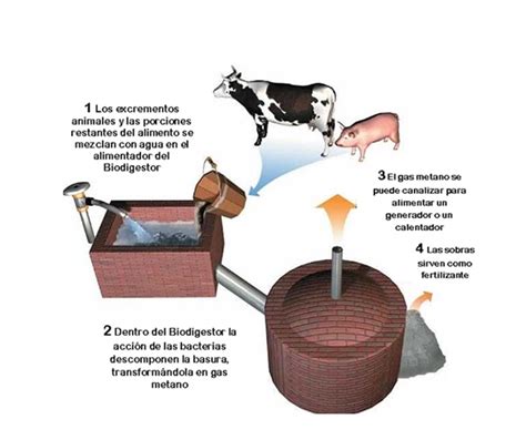 LOS BIODIGESTORES IMPORTANCIA Y BENEFICIOS CivilGeeks