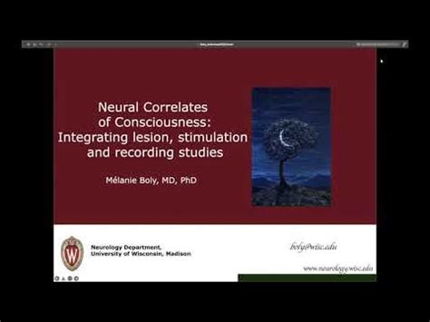 BrainMap: Neural Correlates of Consciousness: Integrating Lesion, Stimulation & Neuroimaging ...