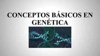 Conceptos Basicos En Genetica Ppt Descarga Gratuita