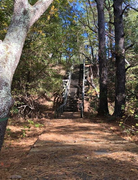 Kiptopeke State Park State Parks Places To Go Park