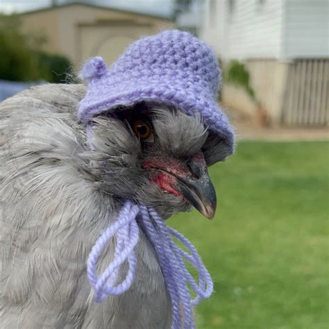 Crochet Chicken Hat Pattern. PDF Download - Etsy