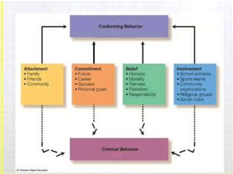 Social Bonding Theory Criminology Sociology Travis Hirschi Social