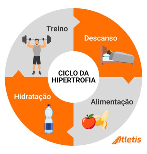 11 Alimentos Da Minha Dieta Para Ganhar Massa Muscular Comida