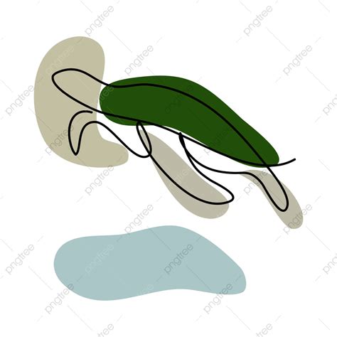 Turtle Art Vector Hd Images Beautiful Turtle Line Art Transparent Png