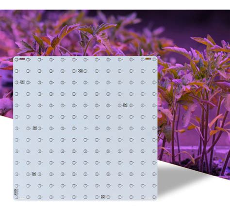 L Mpadas Led Grow Light Red Blue Full Spectrum Leds Parcelamento