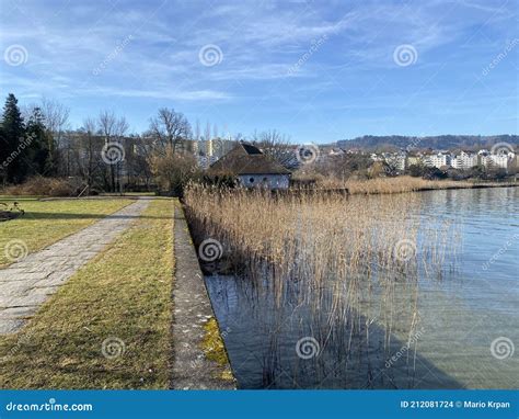 Meer Zurich Zuerichsee Oder Zurichsee En Een Kustlandschap Met ...