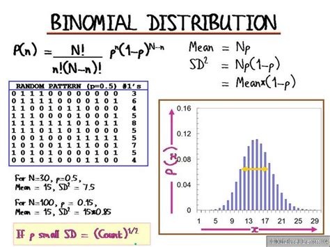 Binomial Distribution Hot Sex Picture