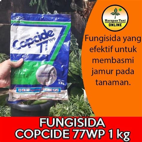 Copcide Wp Kg Fungisida Copper Hydroxide Anti Jamur Tanaman