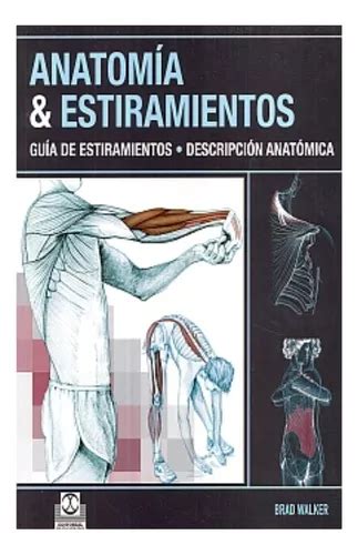 Anatomía Estiramientos Envío gratis