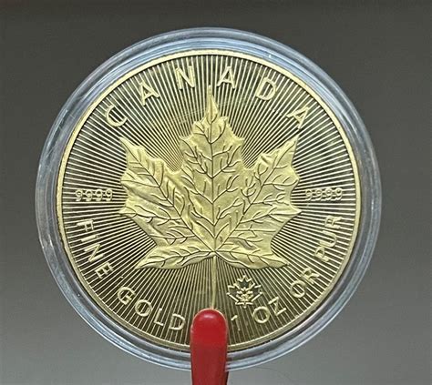 Canadian Maple Leaf Replica Kaufen Auf Ricardo