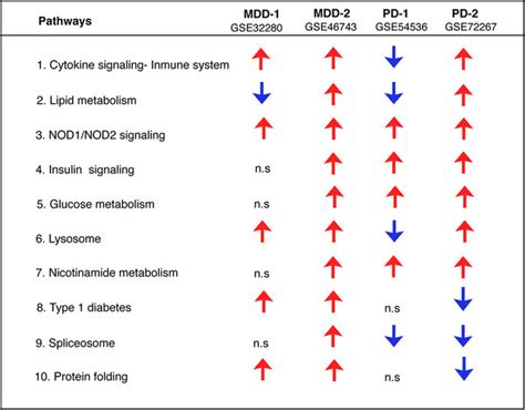 Shared Dysregulated Pathways In Mdd And Pd Biological And Functional