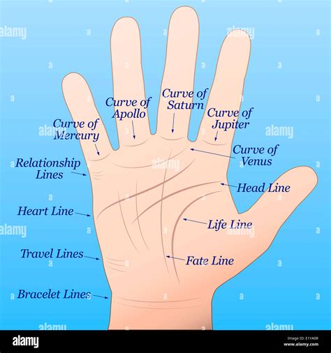 Palm Reading Palmistry Hi Res Stock Photography And Images Alamy